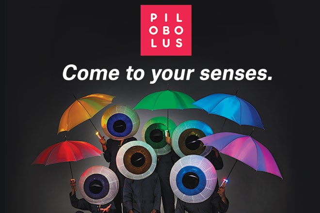 Pilobolus: Come to Your Senses (April 25)