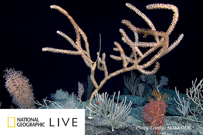 Natgeo Seasv2
