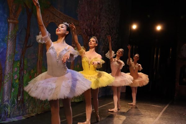Cinderella Fairies 3 2020