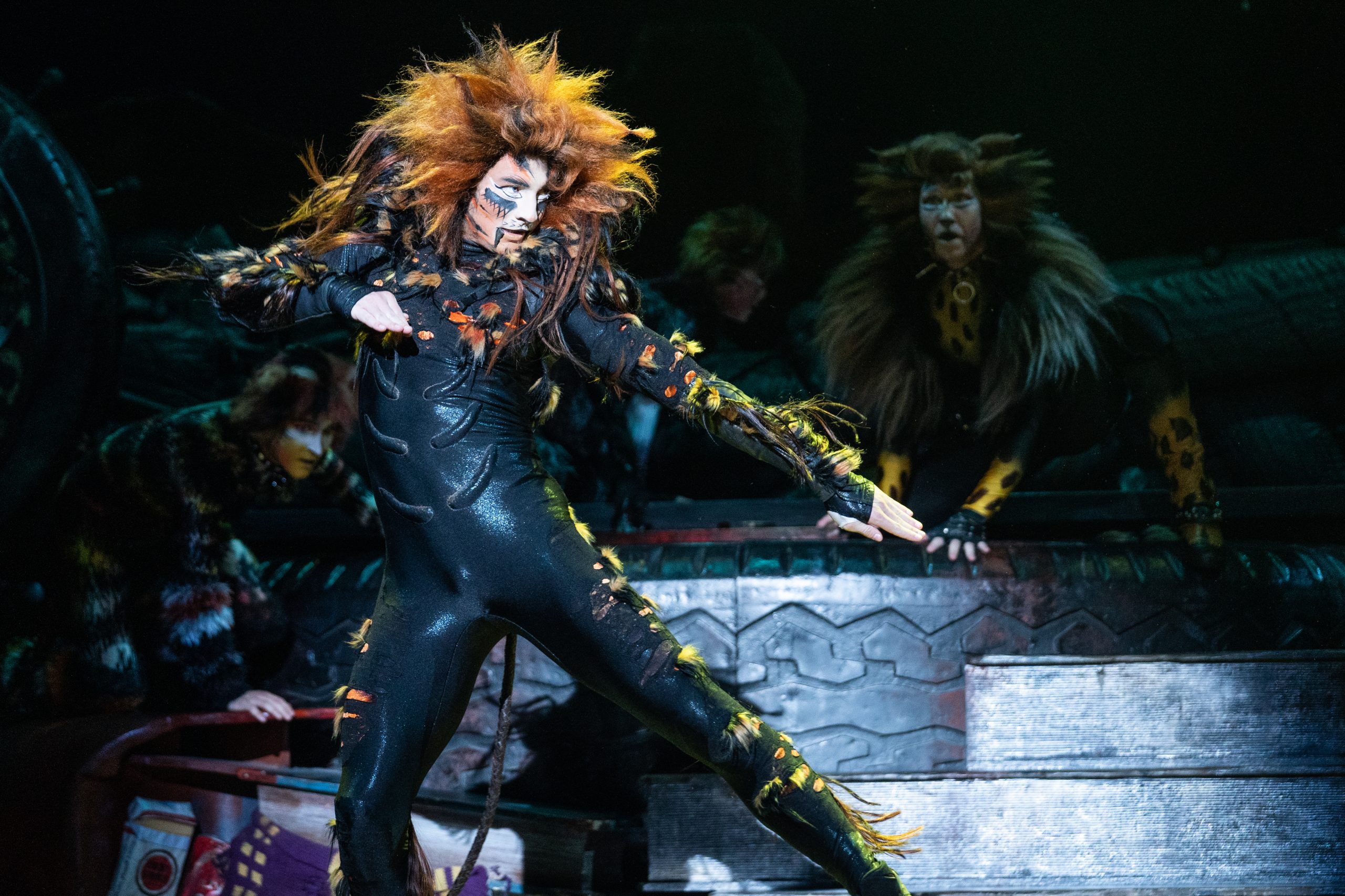 CATS - The Musical, Ronacher, Schedule & Tickets