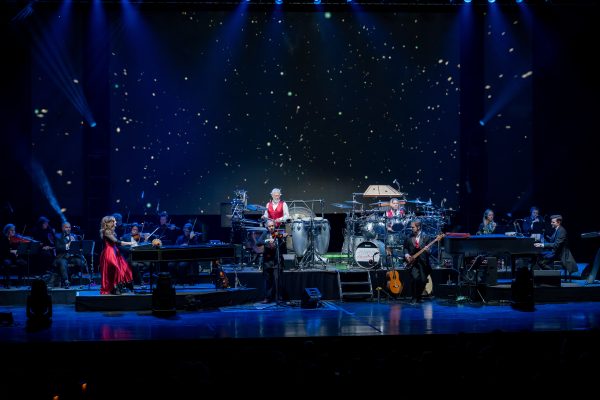 Mannheimsteamroller 2019 4