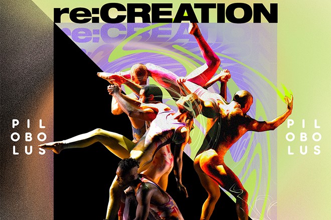 Pilobolus: Re: Creation