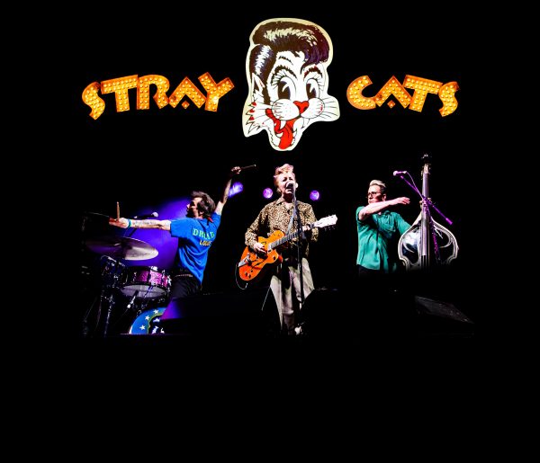 Stray Cats Live Suzie Kaplan