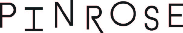 Pin001.logowhite 2