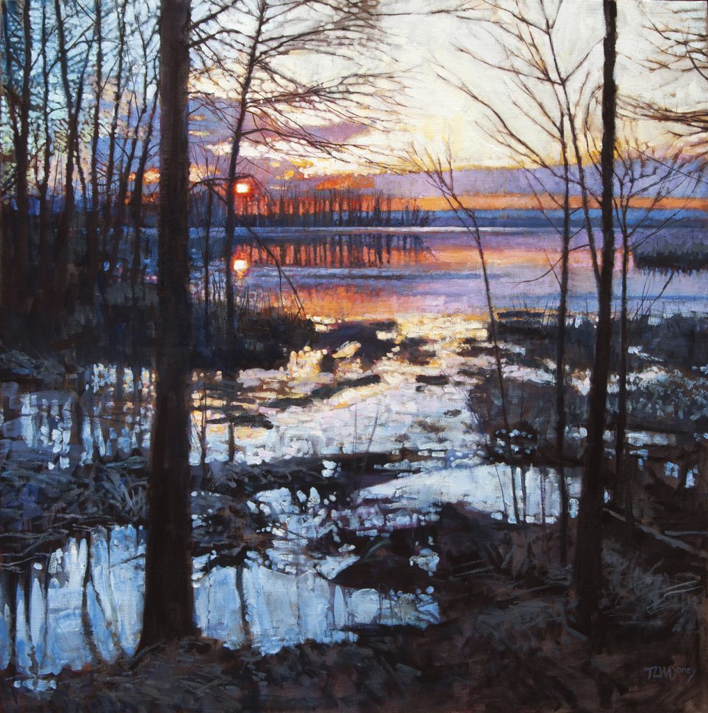 Swamp March 11 5 47 Pm 48 X 48
