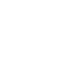 Familiesfirst Icon
