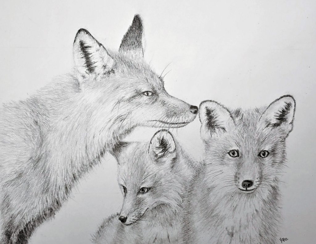 Yokedigiorgio,undermom'sumbrella,graphite,16x20x1,$475 Yoke Digiorgio