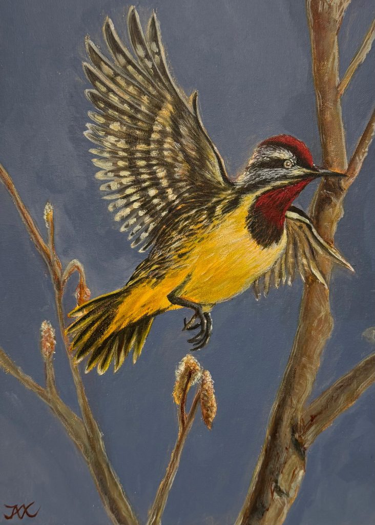 Jax Kwok,a Jersey Native, Acrylic, 16x20x2 In