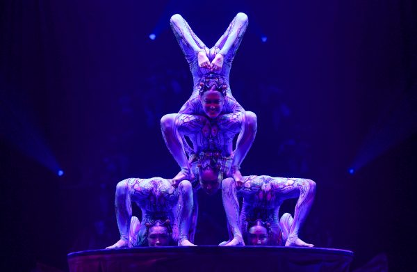 20250410cirquealice 33