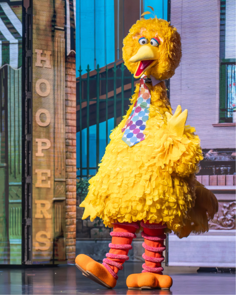 Big Bird Prod Photo Ssl