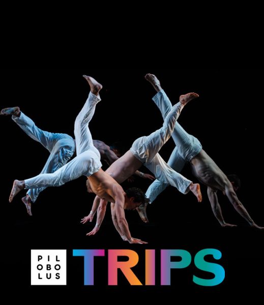 Pilobolus: Trips
