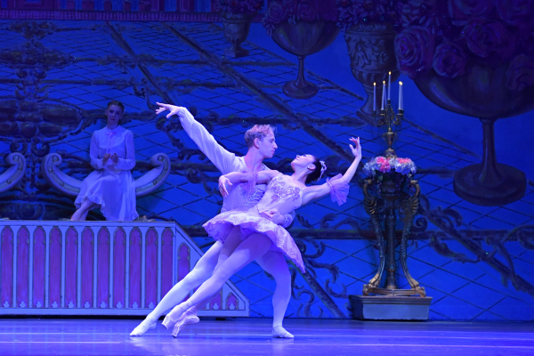 Sugar Plum & Cavalier (2)