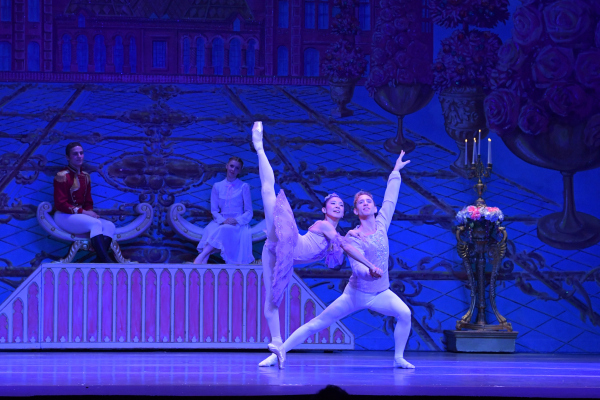 Sugar Plum & Cavalier