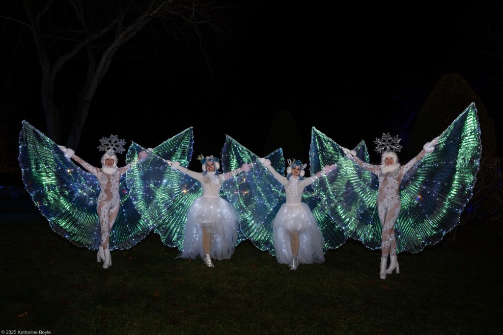 Theatre Of Light 2025 Nov 23 32
